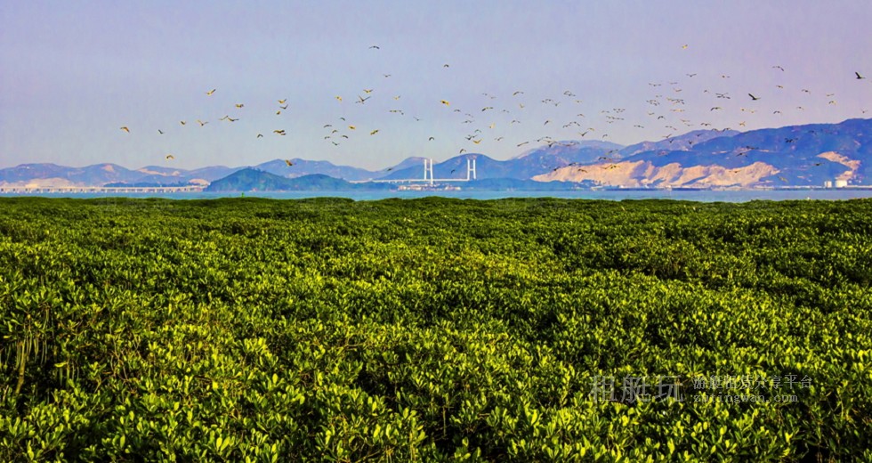 廈門(mén)五緣灣帆船港游艇租賃 廈門(mén)五緣灣帆船港游艇租賃