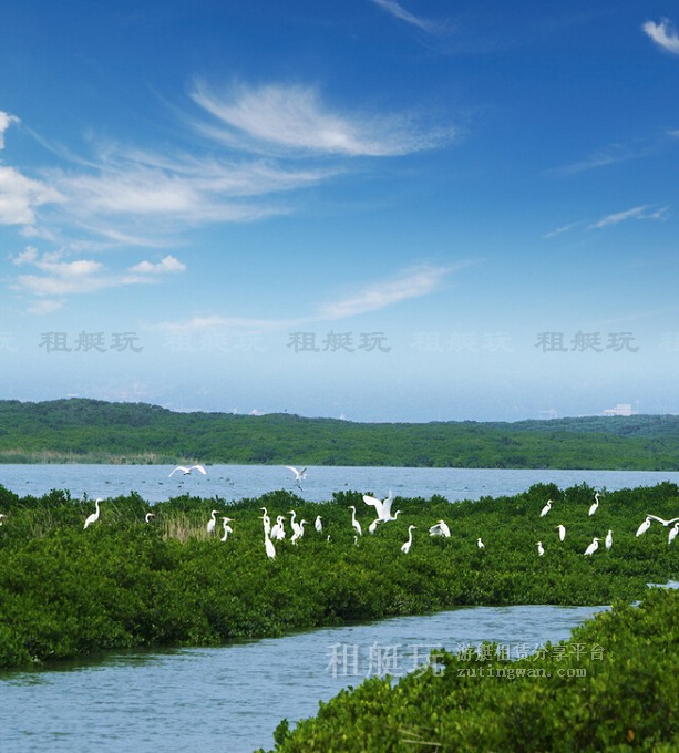 廈門(mén)五緣灣帆船港游艇租賃 廈門(mén)五緣灣帆船港游艇租賃